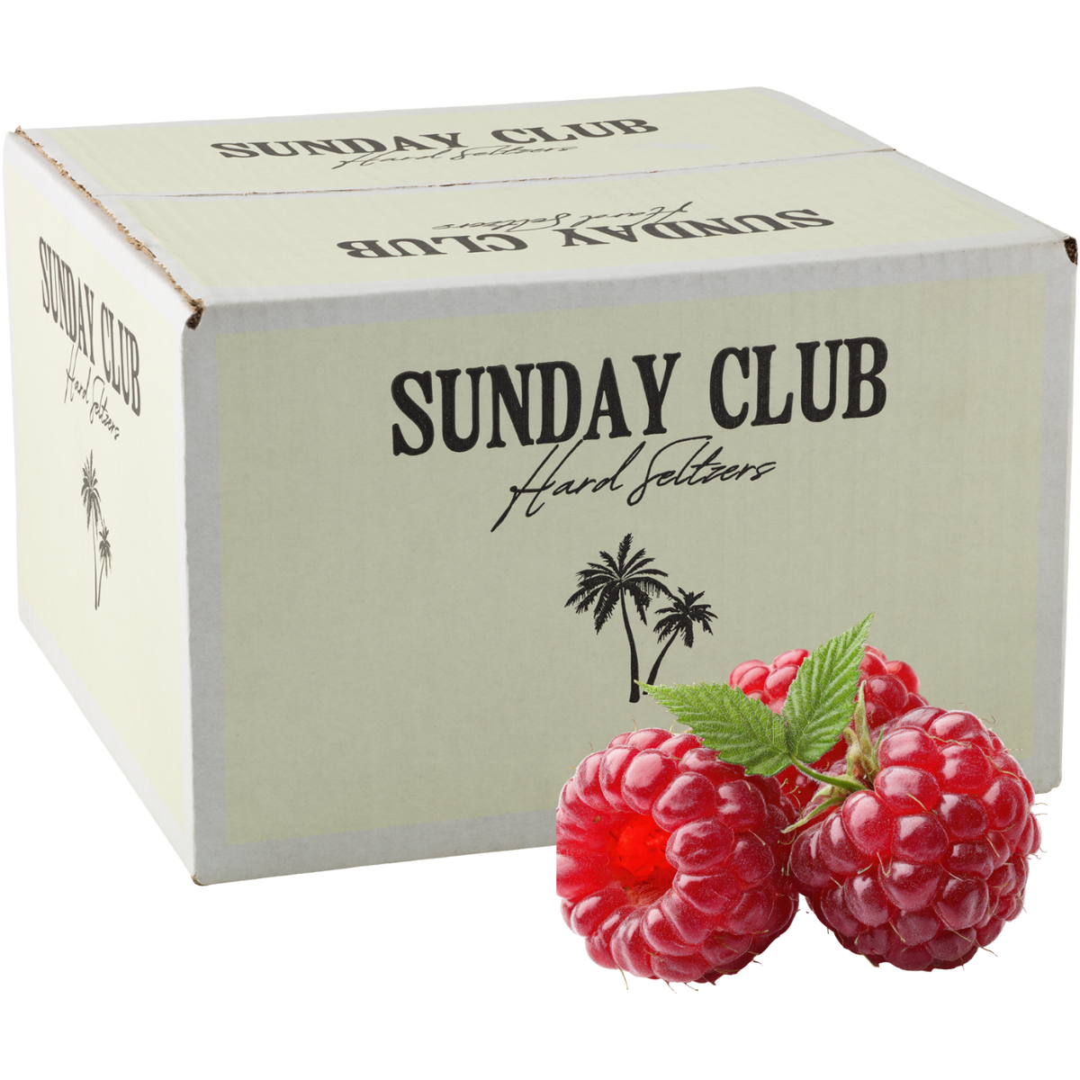 Sunday Club Raspberry Coconut Water Seltzer 16 pack box